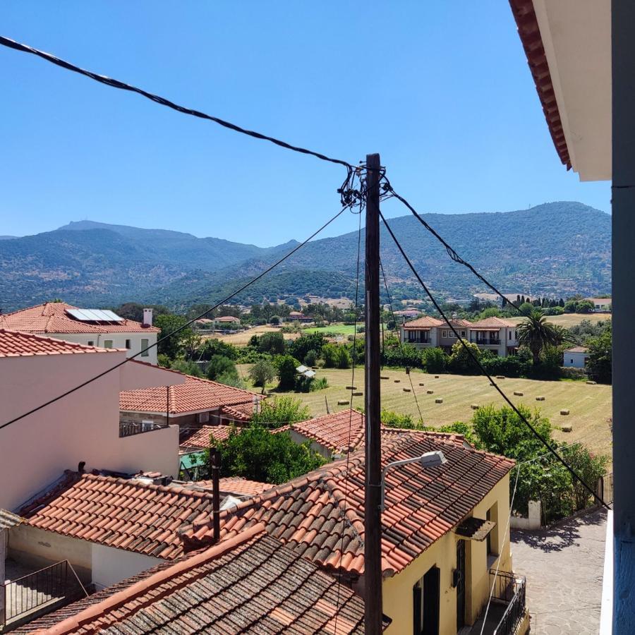 פטרה Hotel Ilion מראה חיצוני תמונה