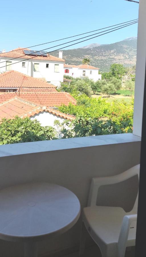 פטרה Hotel Ilion מראה חיצוני תמונה