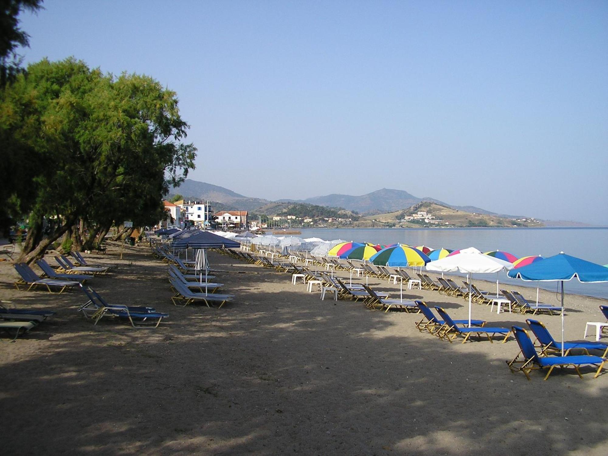 פטרה Hotel Ilion מראה חיצוני תמונה